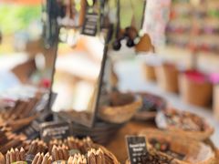 -大象粑粑造纸公园