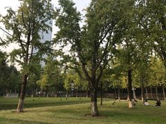 -重庆市江北嘴中央商务区中央公园