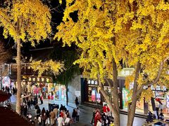 -奇芳阁·百年清真南京菜(夫子庙店)