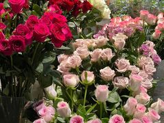 -循礼门鲜花花市(武汉循礼门店)