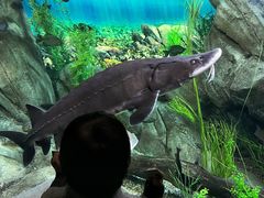 -瑞普利水族馆