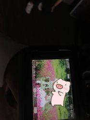 点击看大图 -金夫人婚纱摄影(华南店)