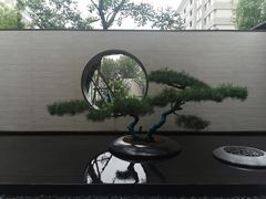 -泰康之家·申园