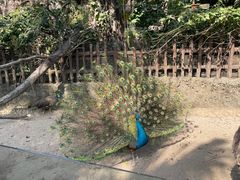 -长鹿旅游休博园