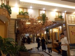 -逸丝风尚