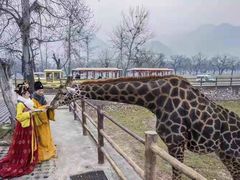 -西安秦岭野生动物园