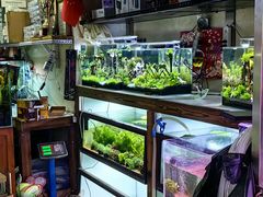 -花鸟鱼虫鲜花绿植市场(玉泉路店)