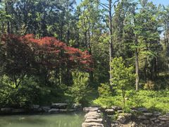 -溪口商量岗景区