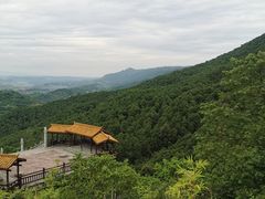 -铁山坪森林公园