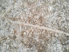 -龙口南山旅游景区