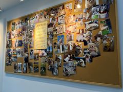 -翊宠yipet猫狗购宠庄园犬舍•猫舍