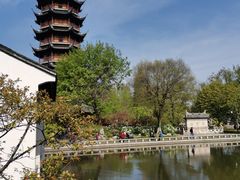 -红梅公园