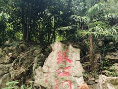 -宜兴张公洞