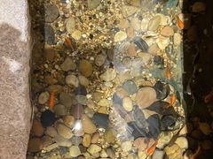 -邈墨茶馆(凤起路店)