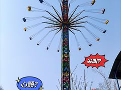 -朝阳公园游乐园