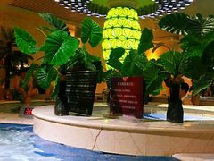 -水晶之星洗浴温泉汗蒸