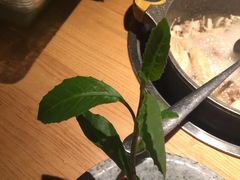 -大头椰·椰子鸡火锅(南宁万象城店)