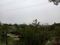-长洲岛