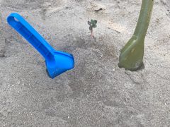 -前小桔亲子创意农场·草莓采摘·露营烧烤