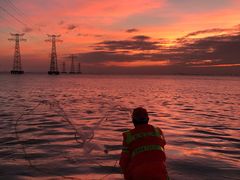 -宝安西湾红树林湿地公园