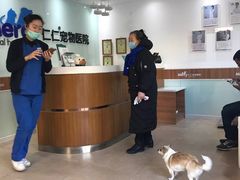 -宠福鑫动物医院·动物疾病诊疗中心(天通苑店)