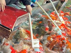 -太平洋海底世界