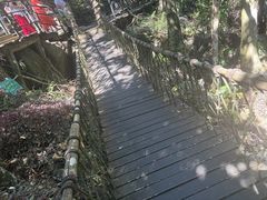 -呀诺达热带雨林