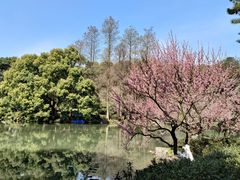 -杭州植物园