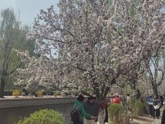 -元大都城垣遗址公园
