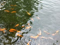 -南京大牌档(凯德大峡谷店)