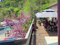 -桃源山庄·水蜜桃采摘·柴火鸡·烧烤团建(龙泉山店)