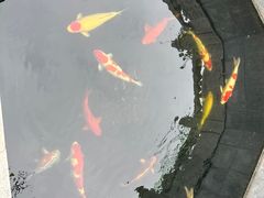 -西安市广仁寺