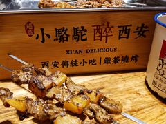 -福苗小骆驼烧烤(莲湖路店)