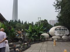 -陕西自然博物馆