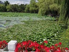 -长春市南湖公园