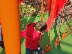 -中国福利会少年宫