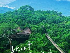 -三亚亚龙湾人间天堂鸟巢度假村