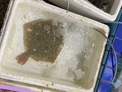 -霞涌市场海鲜摆卖区