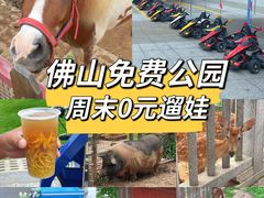 -王借岗森林公园
