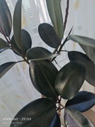 -HEYAN荷妍专业脱毛连锁机构