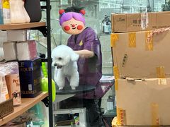-安琪娜动物医院•健康管理•骨科•急重症诊疗中心