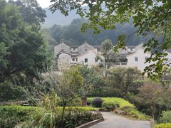 -雁南飞茶田景区