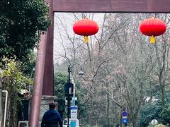 -龙井壹号·茶缘山景宴(龙井村店)