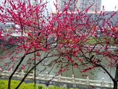 android_upload_pic-真快活Coohoo Max(武商仙桃店)