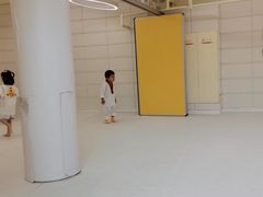-勇气斑马·巴西柔术&跆拳道(浦东三林店)