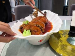 -丁老爷子苏香圆