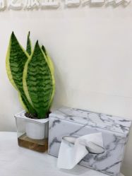 -JUVA欧华医美连锁