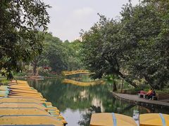 -晓港公园