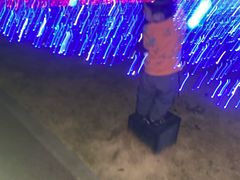 -九龙湖公园