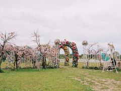 景点-丽江植物园